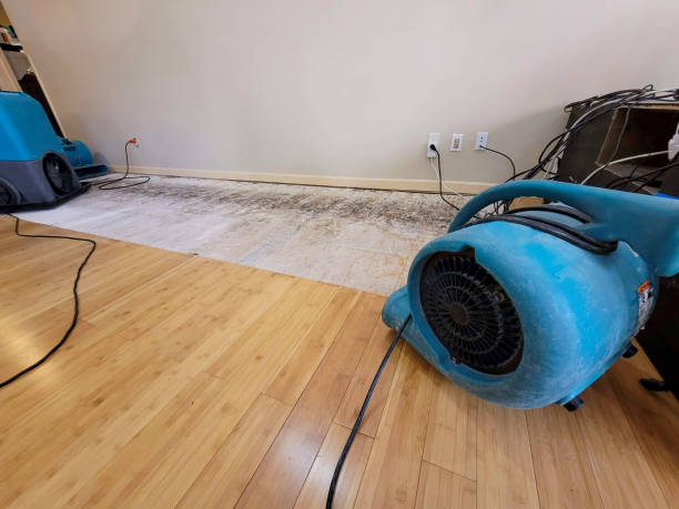 Professional Basement Flood Cleanup technician working in Sheldon, TX